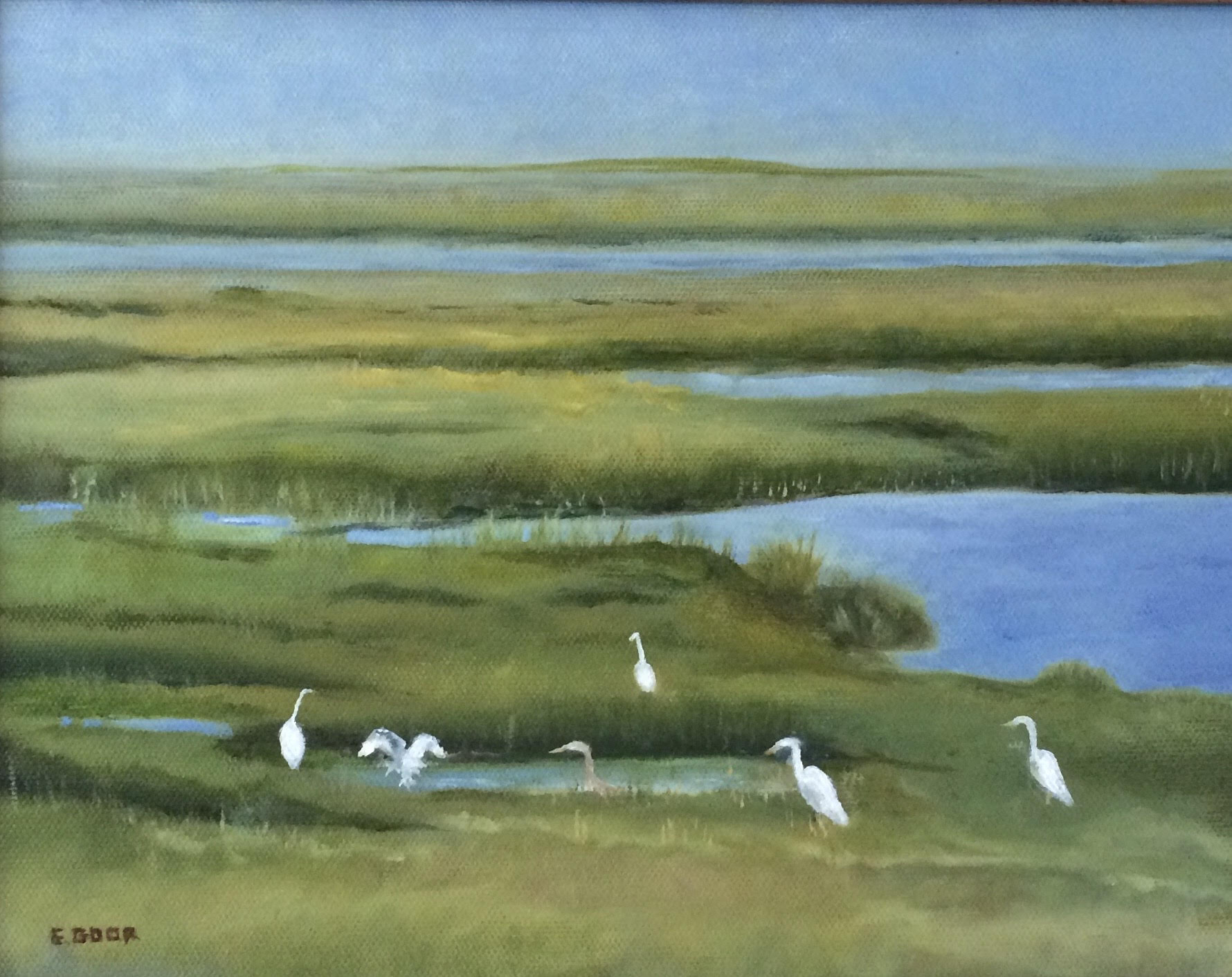 Marshes in New England